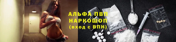 гидра Дмитров