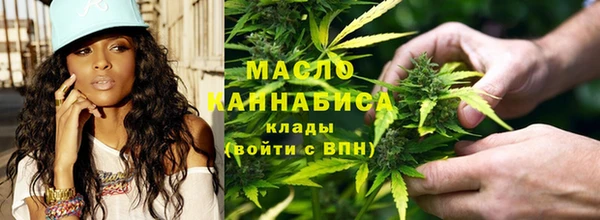 гидра Дмитров