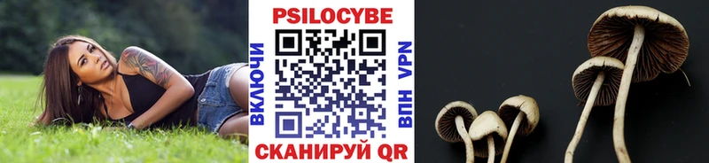 ОМГ ОМГ как зайти  наркота  Мурманск  Галлюциногенные грибы прущие грибы 